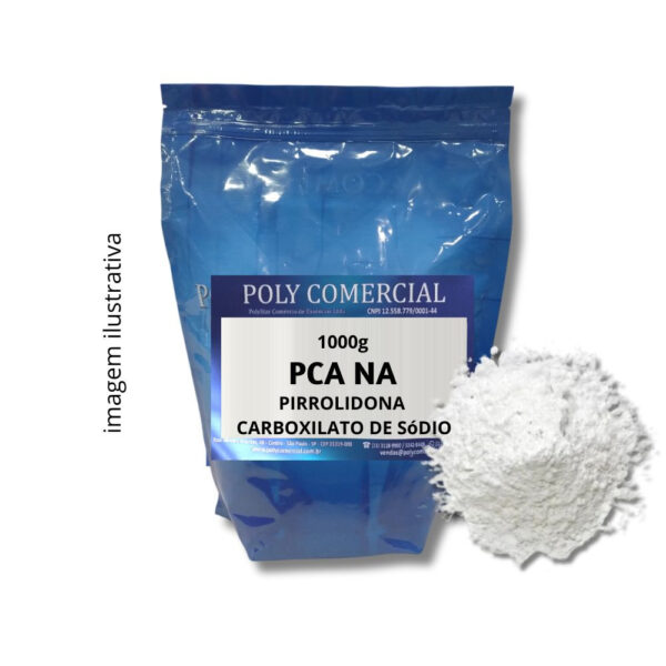 PCA NA (PIRROLIDONA CARBOXILATO DE SODIO) (AJIDEW NL-50) - KG