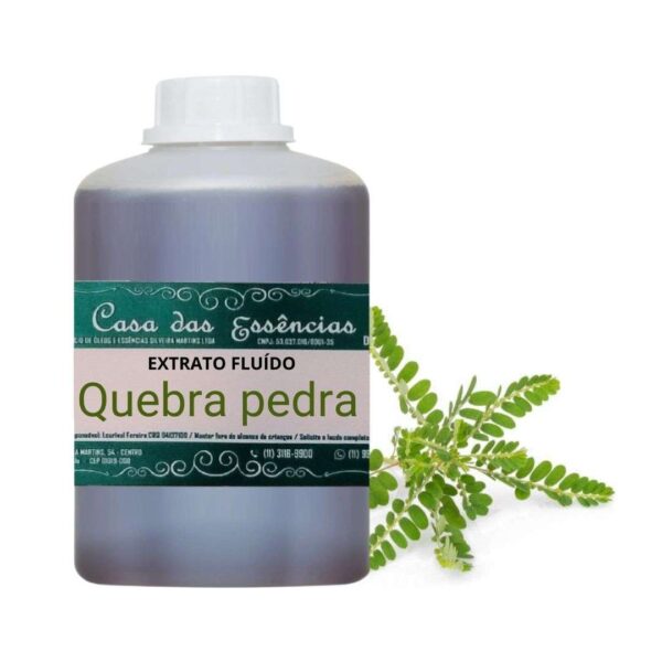 EXTRATO FLUÍDO QUEBRA PEDRA  - LT