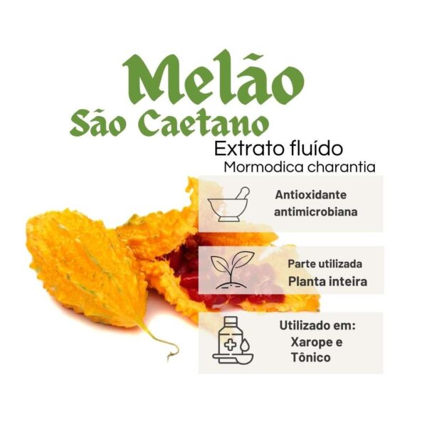 EXTRATO FLUÍDO MELÃO DE SÃO CAETANO - LT - Imagem 2
