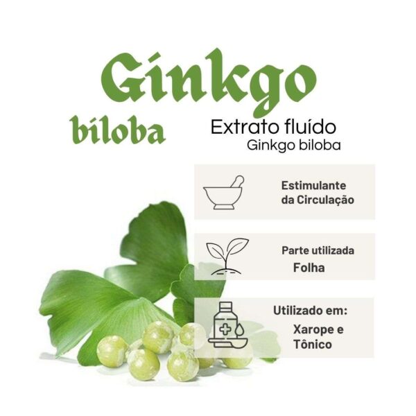 EXTRATO FLUÍDO GINKGO BILOBA - LT - Image 2