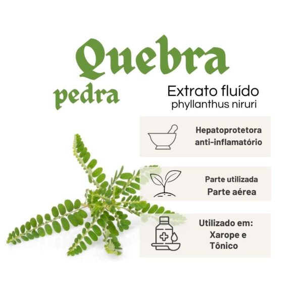 EXTRATO FLUÍDO QUEBRA PEDRA  - LT - Imagem 2