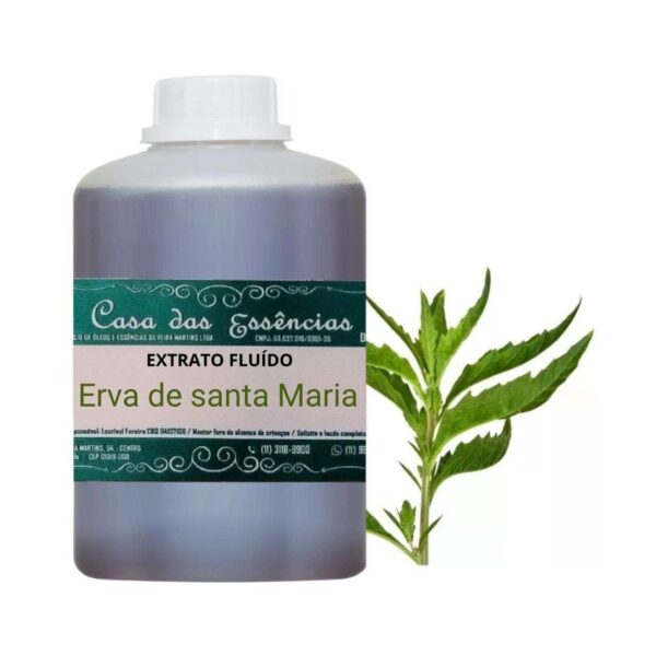 EXTRATO FLUÍDO ERVA DE SANTA MARIA - LT