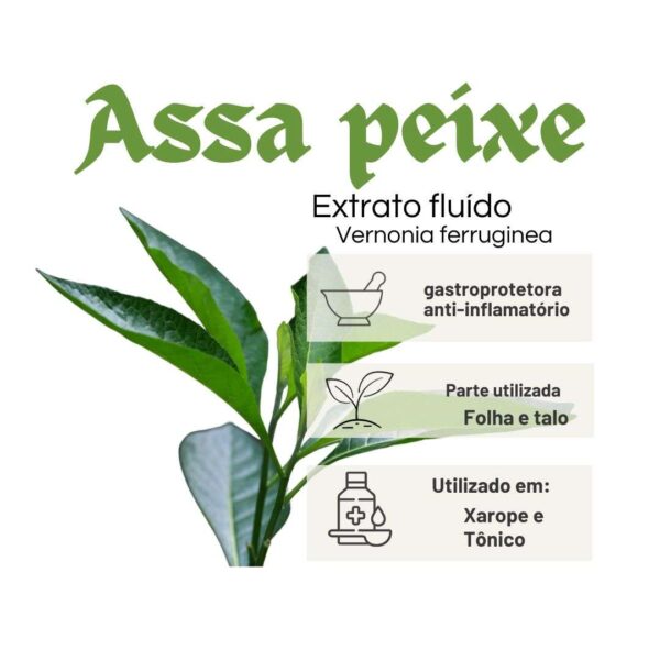 EXTRATO FLUÍDO ASSA PEIXE - LT - Image 2