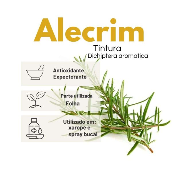 TINTURA ALECRIM NACIONAL - LT