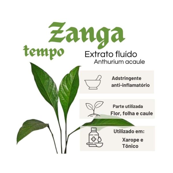 EXTRATO FLUÍDO ZANGATEMPO - LT - Image 2