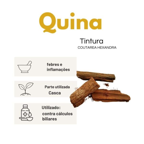 TINTURA QUINA - LT - Image 2