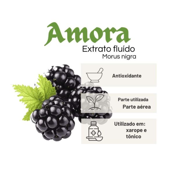 EXTRATO FLUÍDO AMORA - LT - Image 2