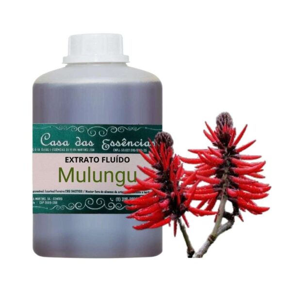 EXTRATO FLUÍDO MULUNGU - LT