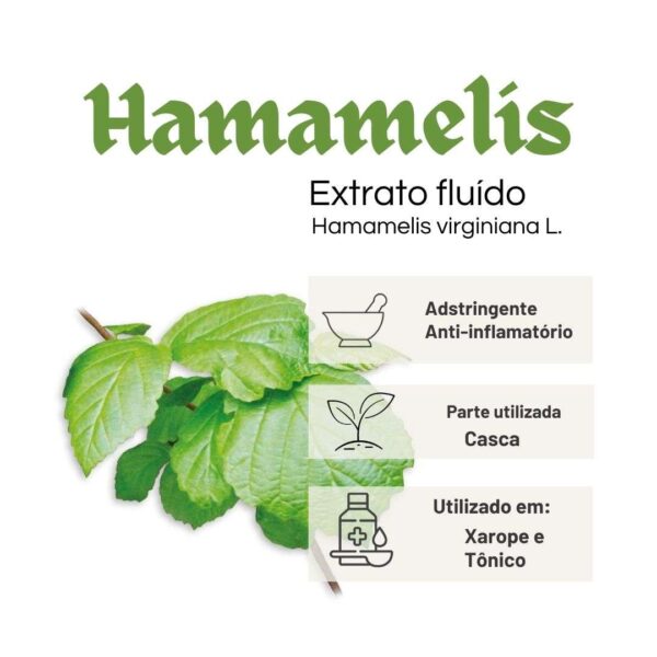 EXTRATO FLUÍDO HAMAMELIS - LT - Imagem 2