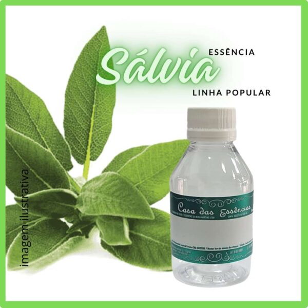 ESSÊNCIA SALVIA - 100ML