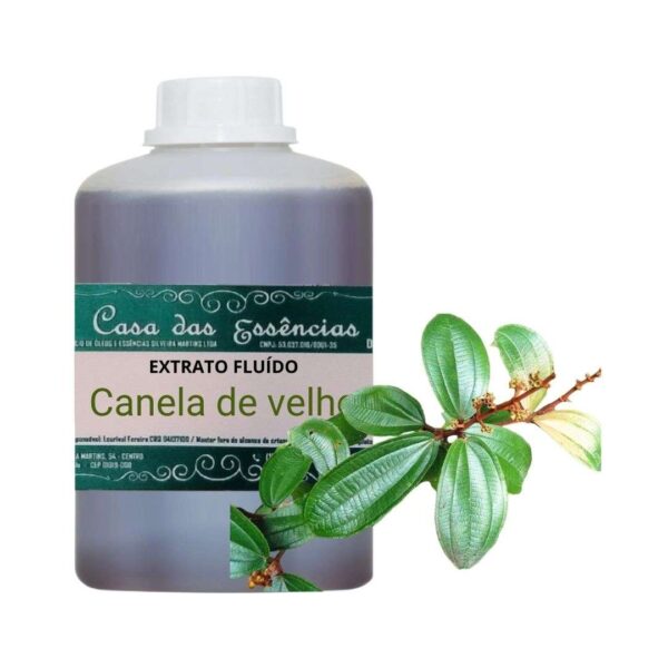 EXTRATO FLUÍDO CANELA DE VELHO