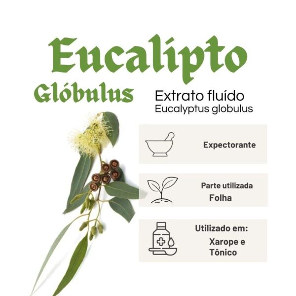 EXTRATO FLUÍDO EUCALIPTO - LT - Imagem 2