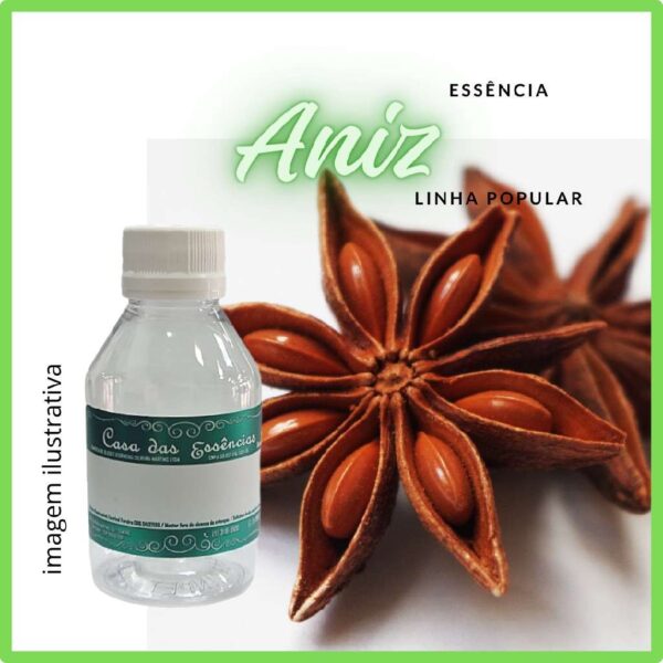 ESSÊNCIA ANIZ - 100ML