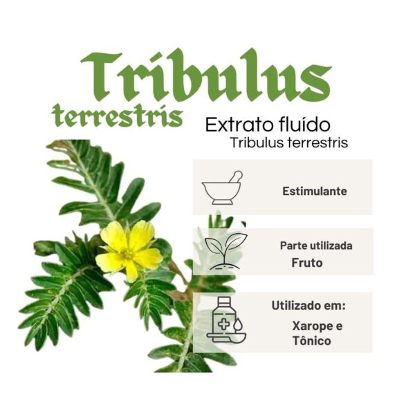 EXTRATO FLUÍDO TRIBULUS TERRESTRIS - LT - Imagem 2