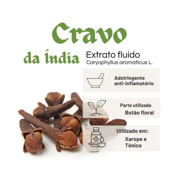 EXTRATO FLUÍDO CRAVO DA ÍNDIA - LT - Imagem 2