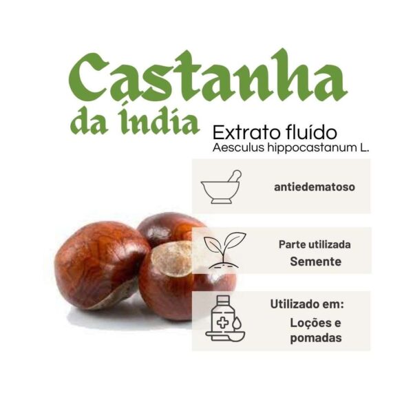 EXTRATO FLUÍDO CASTANHA DA ÍNDIA - LT - Imagem 2