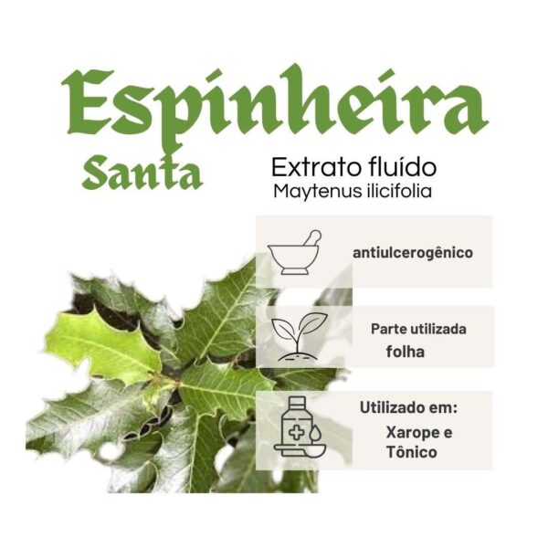 EXTRATO FLUÍDO ESPINHEIRA SANTA - LT - Imagem 2