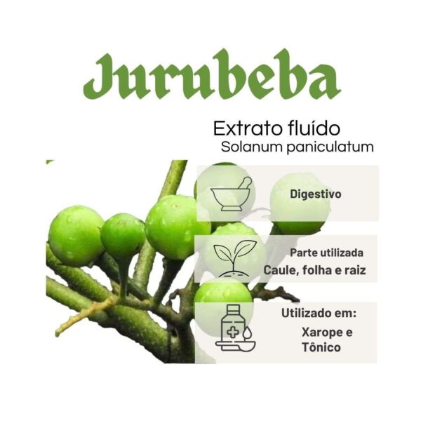 EXTRATO FLUÍDO JURUBEBA - LT - Imagem 2