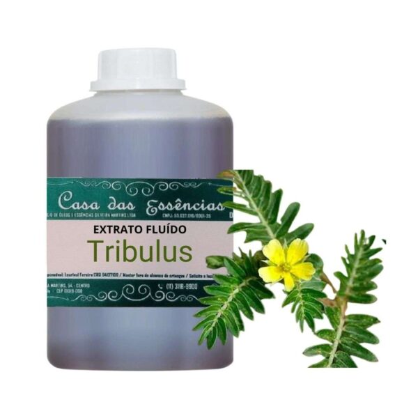 EXTRATO FLUÍDO TRIBULUS TERRESTRIS - LT