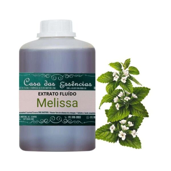 EXTRATO FLUÍDO MELISSA - LT
