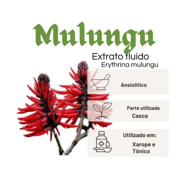 EXTRATO FLUÍDO MULUNGU - LT - Imagem 2