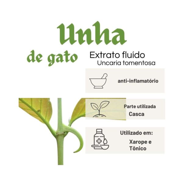 EXTRATO FLUÍDO UNHA DE GATO - LT - Imagem 2