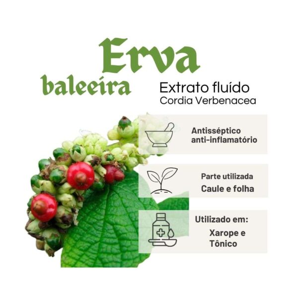 EXTRATO FLUÍDO ERVA BALEEIRA - LT - Imagem 2