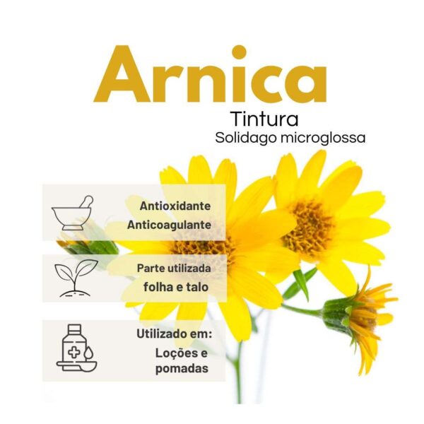 TINTURA ARNICA - LT - Imagem 2