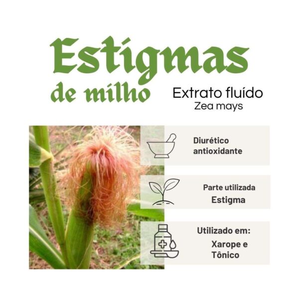 EXTRATO FLUÍDO ESTIGMAS MILHO - LT - Imagem 2