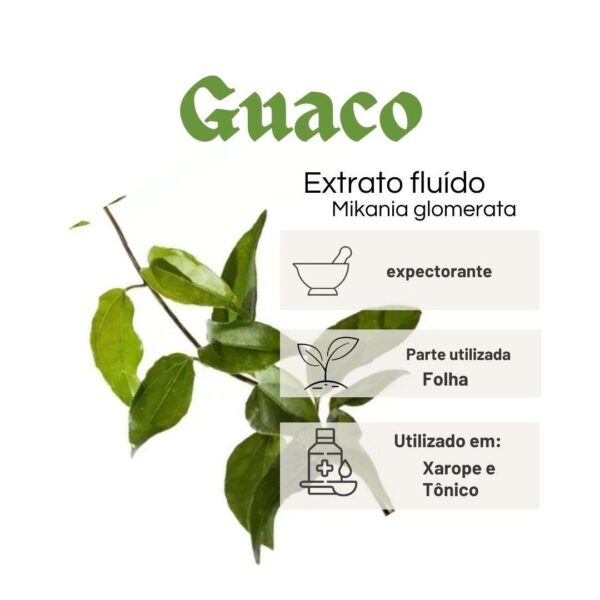 EXTRATO  FLUÍDO GUACO - LT - Imagem 2