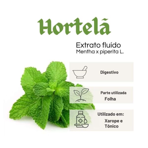 EXTRATO FLUÍDO HORTELÃ - LT - Imagem 2