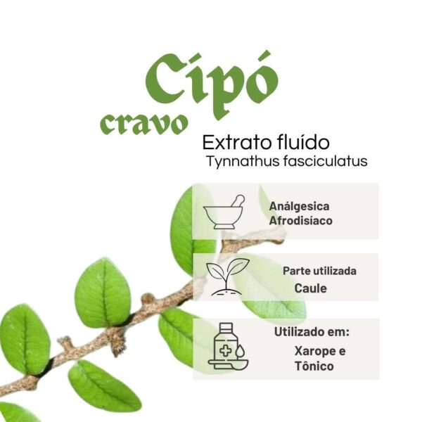EXTRATO FLUÍDO CIPÓ CRAVO - LT - Imagem 2