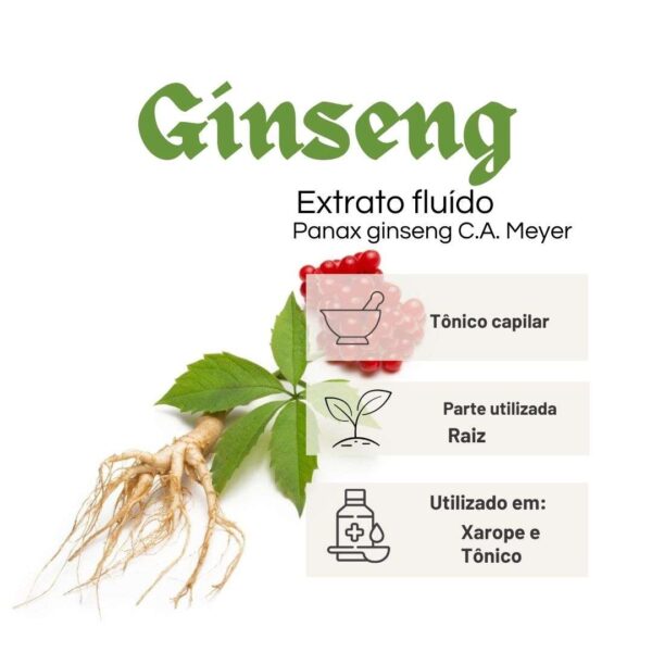 EXTRATO FLUÍDO GINSENG (PFAFFIA) - LT - Imagem 2
