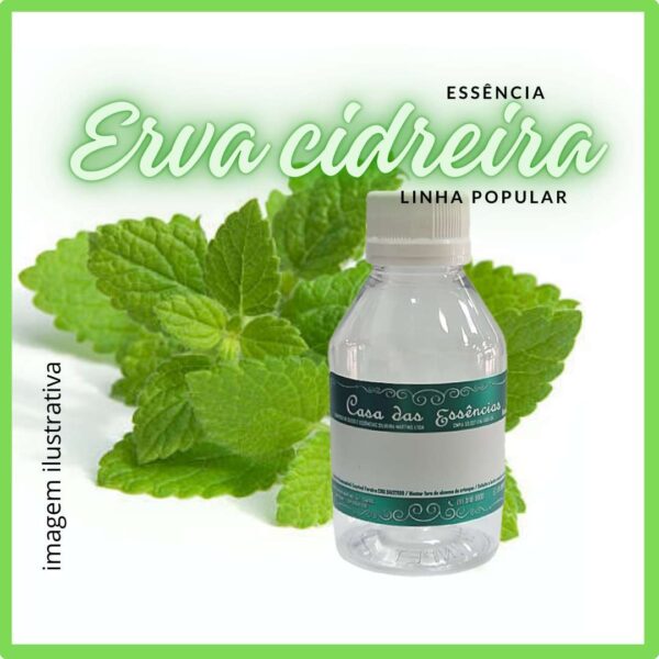 ESSÊNCIA ERVA CIDREIRA - 100ML