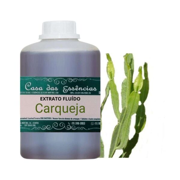 EXTRATO FLUÍDO CARQUEJA - LT