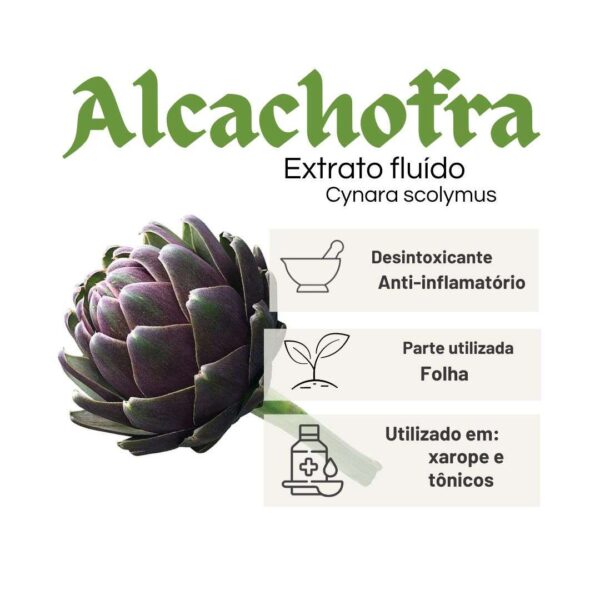 EXTRATO FLUÍDO AROEIRA - LT