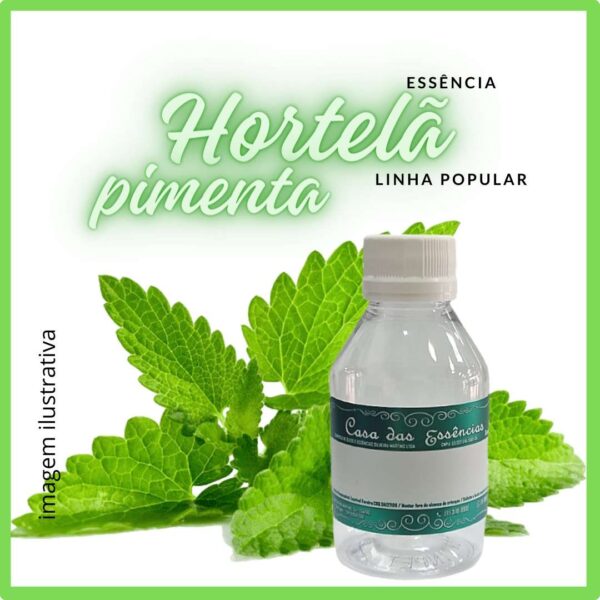 ESSÊNCIA HORTELÃ PIMENTA - 100ML