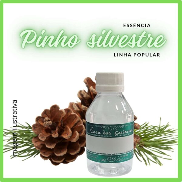 ESSÊNCIA PINHO SILVESTRE - 100ML