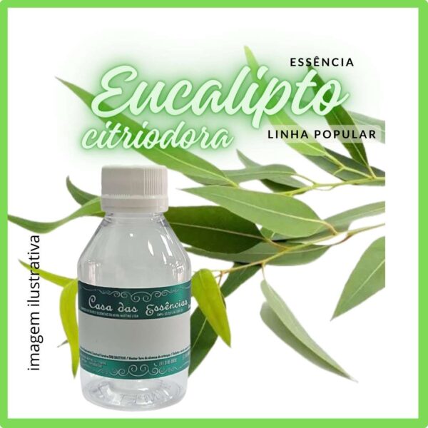 ESSÊNCIA EUCALIPTO CITRIODORA - 100ML
