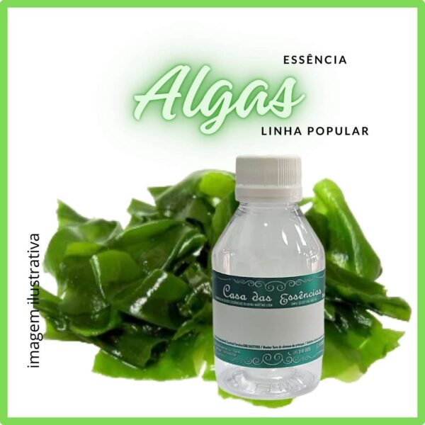 ESSÊNCIA ALGAS - 100ML