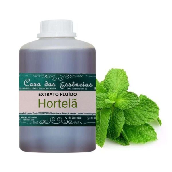 EXTRATO FLUÍDO HORTELÃ - LT