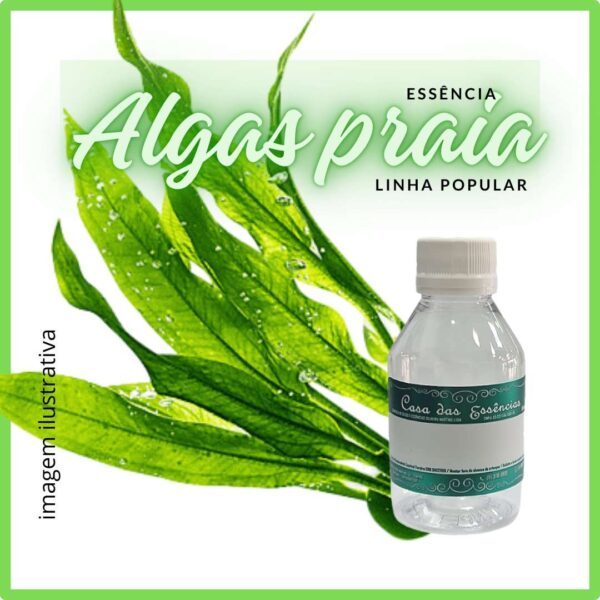 ESSÊNCIA ALGAS (PRAIA) - 100ML