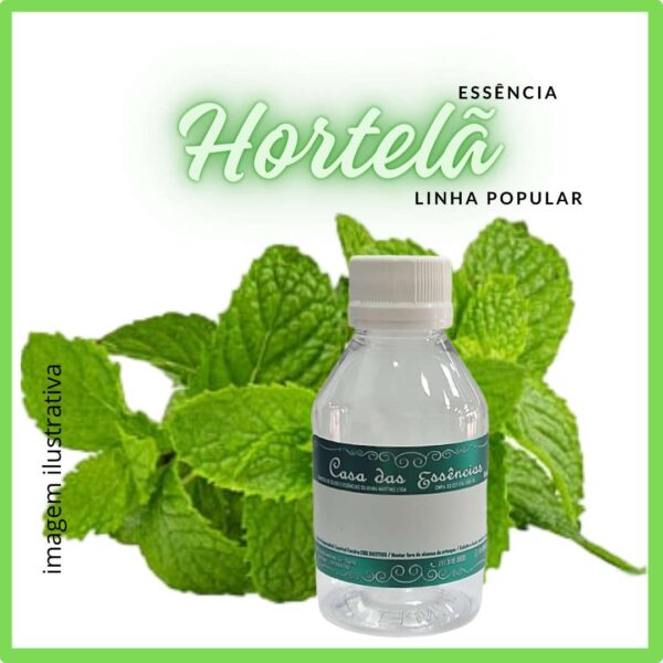 ESSÊNCIA HORTELÂ-100ML
