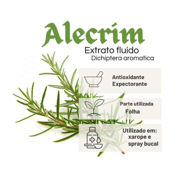 EXTRATO FLUÍDO ALECRIM - LT - Imagem 2