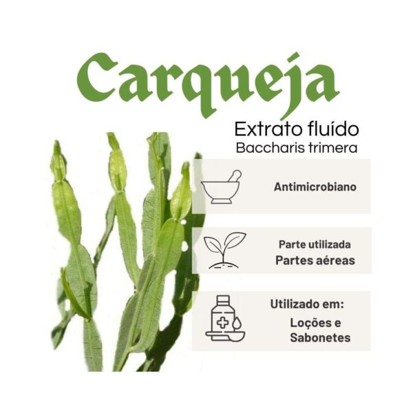 EXTRATO FLUÍDO CARQUEJA - LT - Imagem 2