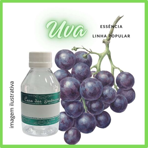 ESSÊNCIA UVA - 100ML