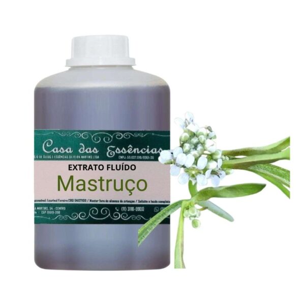 EXTRATO FLUÍDO MASTRUÇO - LT