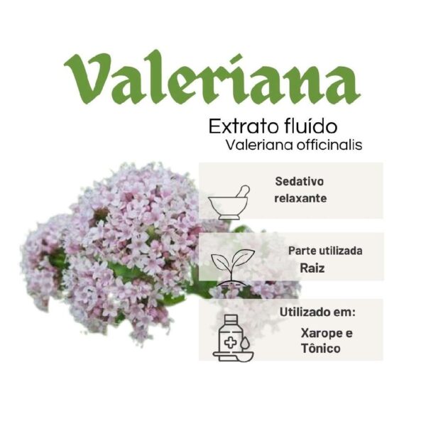 EXTRATO FLUÍDO VALERIANA  - LT - Imagem 2