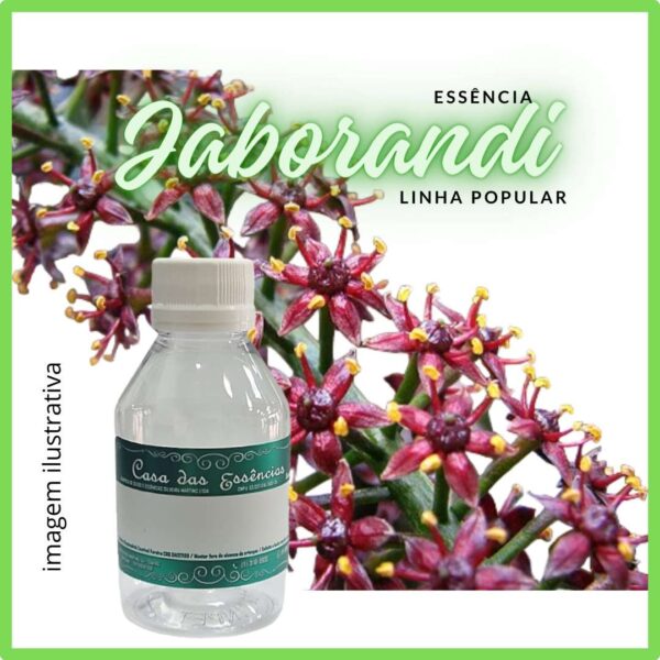 ESSÊNCIA DE JABORANDI - 100ML