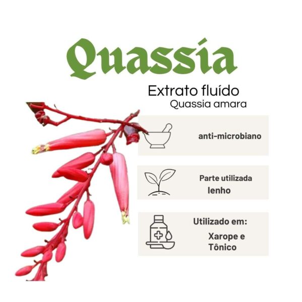 EXTRATO FLUÍDO QUÁSSIA (PAU TENENTE) - LT - Imagem 2